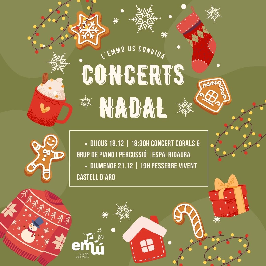 Post PDA | CONCERTS NADAL 2025